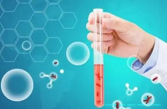NT值1.4看男女？数据验证与科学真相大揭秘