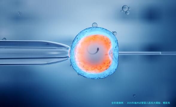 2025年福州试管婴儿医院大揭秘：哪家高又靠谱？