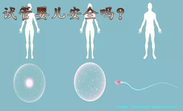 梦见红薯预示怀孕？解码胎梦背后的科学与文化密码