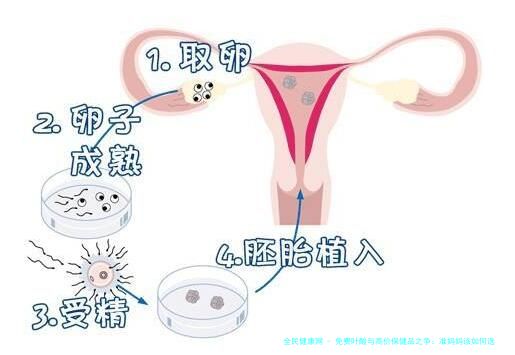 免费叶酸与高价保健品之争：准妈妈该如何选择？