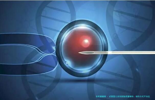 试管婴儿冻存胚胎质量解析：储存方式不决定胚胎优劣