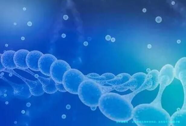 试管移植后身体悄悄话：这些信号可能暗示着床成功