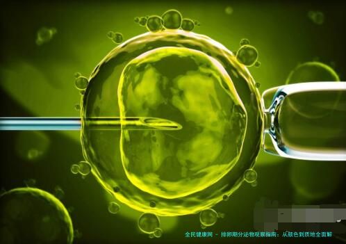 排卵期分泌物观察指南：从颜色到质地全面解读女性身体信号