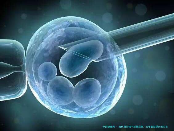 当代男性精子质量观察：五年数据揭示的生育健康密码