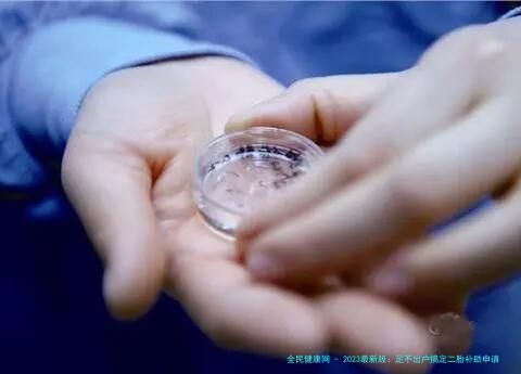 2023最新版：足不出户搞定二胎补助申请（附全流程攻略）