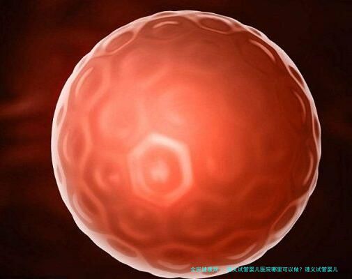 遵义试管婴儿医院哪里可以做？遵义试管婴儿医院哪里技术好？