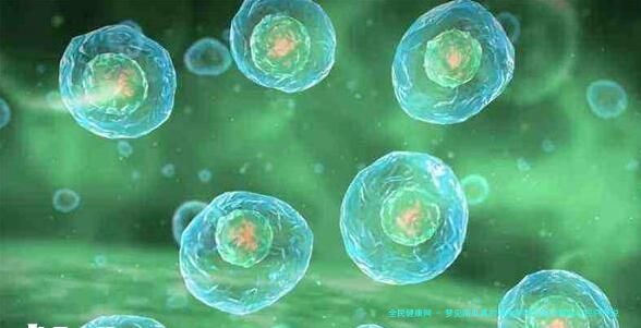 梦见南瓜真的是胎梦吗？科学解读与民间传说大揭秘