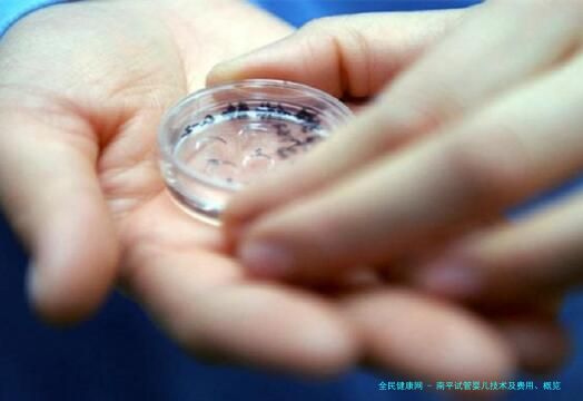 南平试管婴儿技术及费用、概览