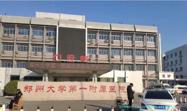 三天鲜胚的奇妙旅程：从实验室到扎根子宫的全记录