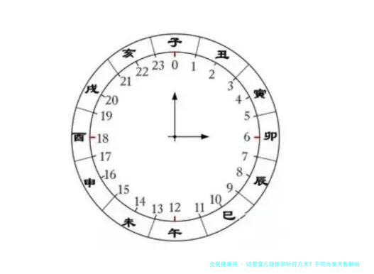 试管婴儿促排卵针打几天？不同方案天数解析（7-15天详解）
