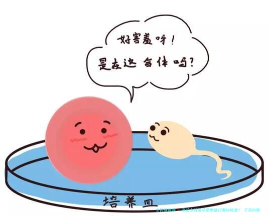 高龄女性备孕需要进行哪些检查？ 子宫内膜活检病理报告单怎么看？