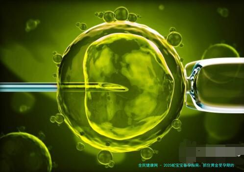 2025蛇宝宝备孕指南：抓住黄金受孕期的三大诀窍
