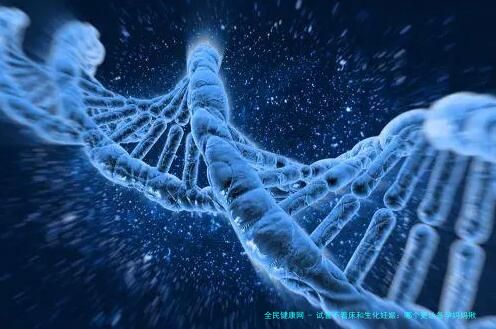 试管不着床和生化妊娠：哪个更让备孕妈妈揪心？