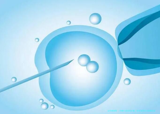 叶酸CT型妈妈必看：科学备孕生出健康宝宝的5个关键