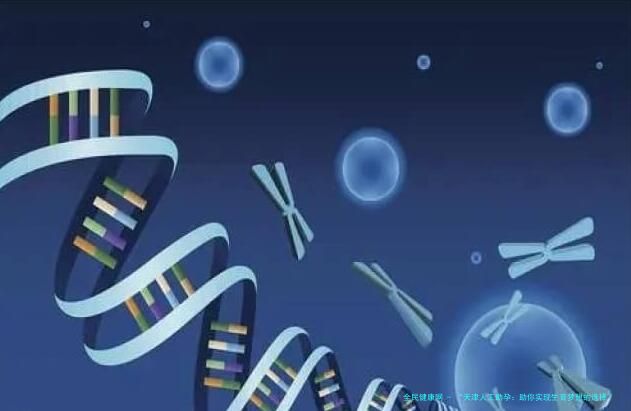 “天津人工助孕：助你实现生育梦想的选择”