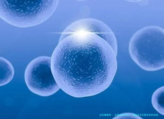 在家就能测HPV？揭秘近五年最实用的自检技巧与避坑指南