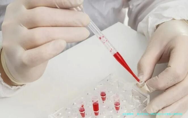新乡医学院一附院生殖中心试管婴儿移植探秘
