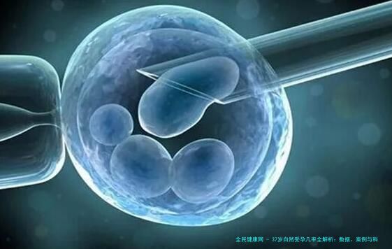 37岁自然受孕几率全解析：数据、案例与科学备孕指南