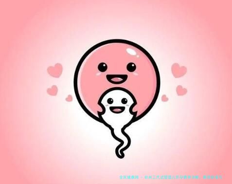 杭州三代试管婴儿怀孕费用详解：费用标准与花费概览