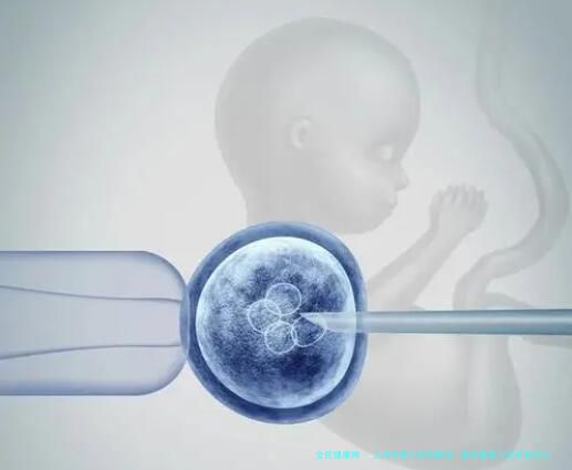 上海试管三机构解读：新试管婴儿技术前沿与未来展望（2024）