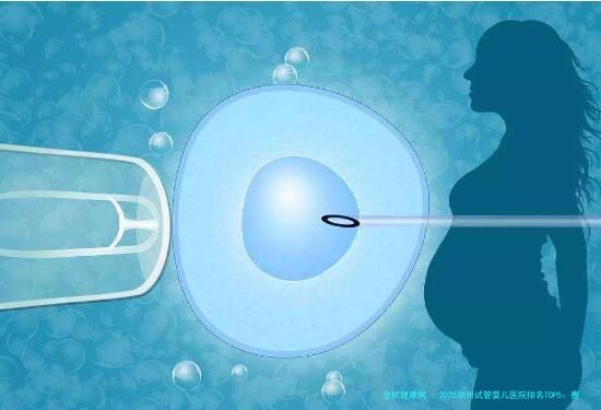 2025湖州试管婴儿医院排名TOP5：费用对比与成功率解析
