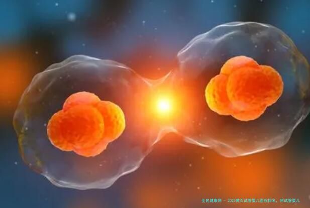 2025黄石试管婴儿医院排名，附试管婴儿成功率和费用一览