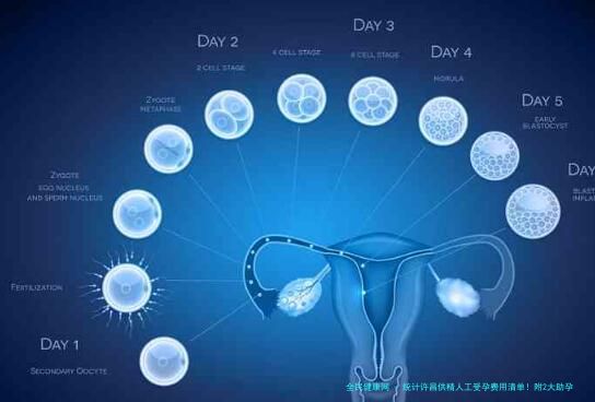 统计许昌供精人工受孕费用清单！附2大助孕医院基本介绍