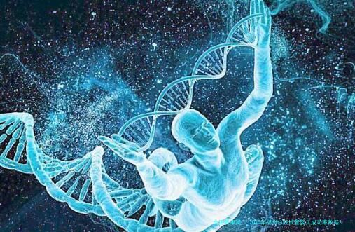 2025年福州总院试管婴儿成功率数据！