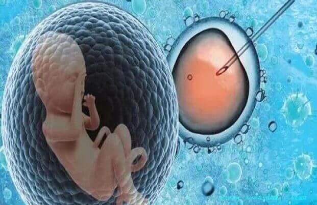 2025年在大连附属      中山医院hiv做试管婴儿需要多少钱？附本医院联系方式