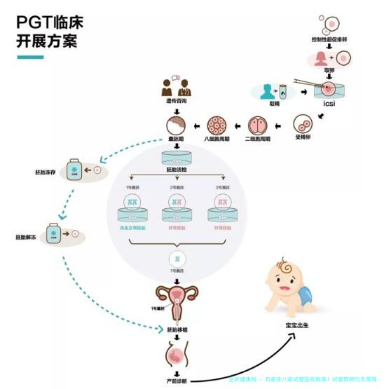 石家庄八家试管医院推荐！试管取卵均无需等待