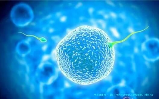 厦门174医院试管婴儿全程解析：时间与2024年流程安排