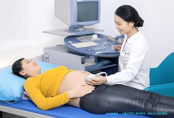 十堰试管婴儿费用概览：新生命之旅的费用，你准备好了吗？