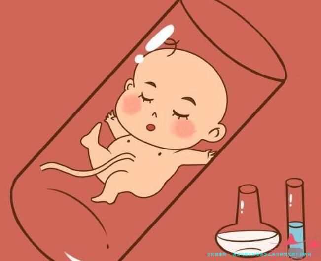 通过前壁和后壁是怎么来分辨男女的？分析前壁后壁看男女的说法