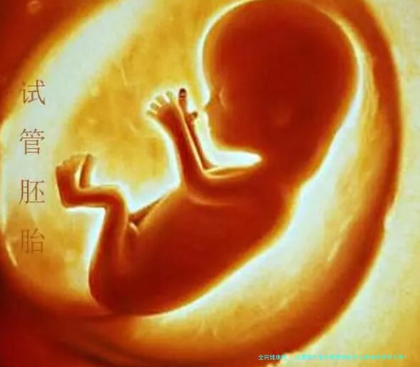 夫妻双方备孕需要做些什么准备受孕率才高！夫妻备孕要做哪些准备！