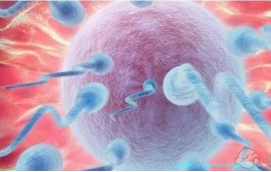 hiv在国内温州医科附属      第一医院可以做试管婴儿吗？需要什么条件和要求
