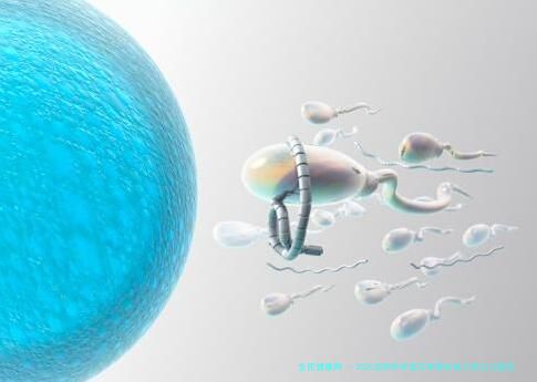 2025沈阳怀孕成功率排名前三的公立医院有哪些？