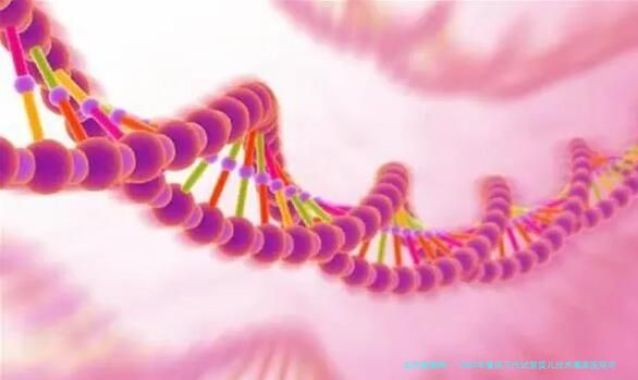 2025年重庆三代试管婴儿技术哪家医院可以做?曝光前五名