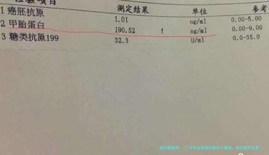 广州专业泰国试管中介服务，助你圆生育梦