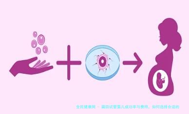 莆田试管婴儿成功率与费用，如何选择合适的医院