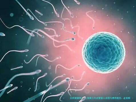 上海第三代试管婴儿流程与费用概览：全面解读试管婴儿的诞生之旅（2024版）