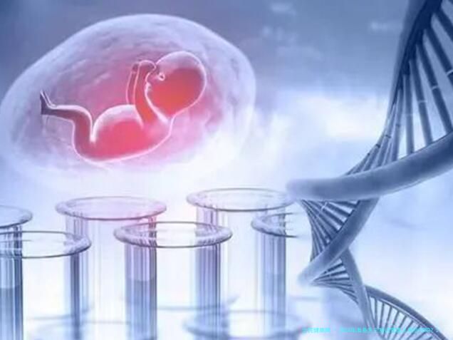 2024年准备生三胎试管婴儿有折扣吗？2024年三代试管婴儿费用清单！