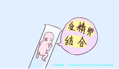 女性有染色体罗氏易位在茫崖市做试管养囊成功率高吗？试管移植后需要保胎吗！