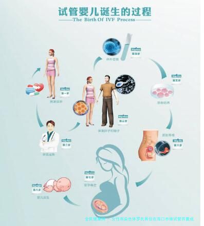 女性有染色体罗氏易位在海口市做试管养囊成功率高吗？试管移植后需要保胎吗！
