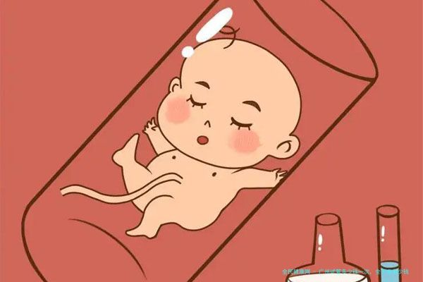 广州试管多少钱一次，全下来多少钱