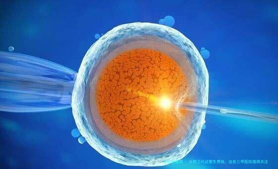 合肥三代试管生男孩，这些三甲医院值得关注？