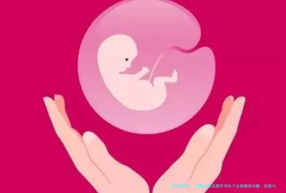 格鲁吉亚试管怀孕生子全程费用详解：优势与性价比分析，2024版