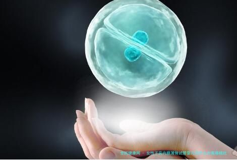 女性子宫内膜薄做试管婴儿用什么方案移植比较好？