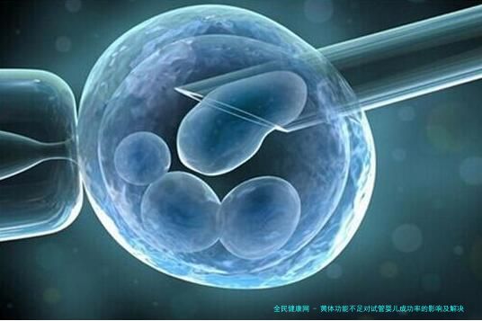 黄体功能不足对试管婴儿成功率的影响及解决方案