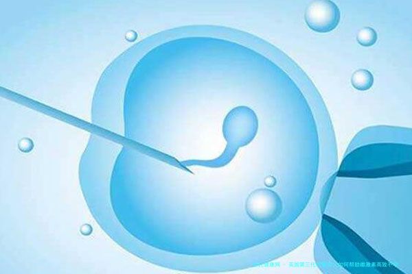 美国第三代试管婴儿如何帮助雌激素高致不孕？