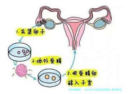 2025年兰州地区试管婴儿费用概览